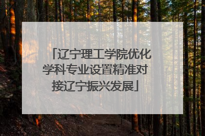 辽宁理工学院优化学科专业设置精准对接辽宁振兴发展